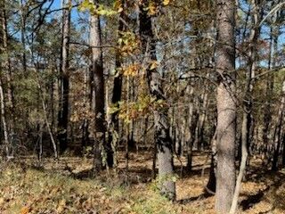 Property Photo:  Lot 25 Leafield Lane  AR 72714 
