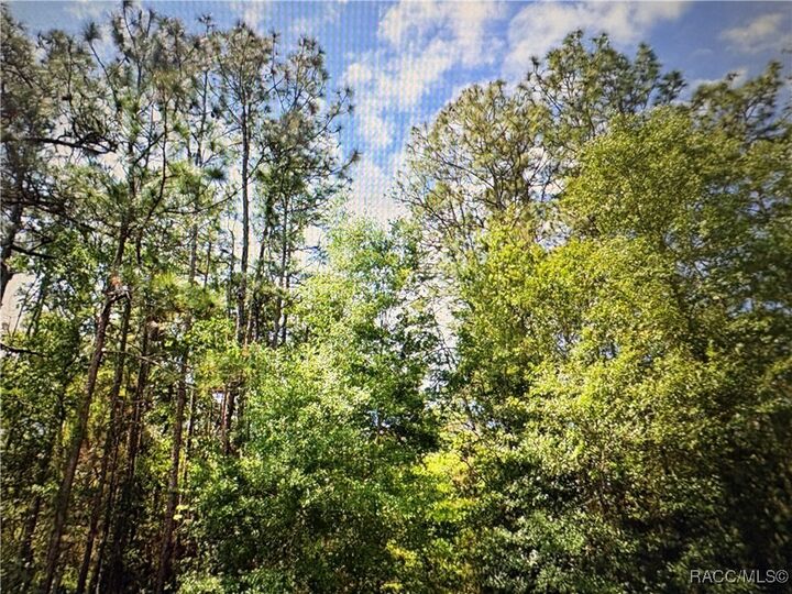 Property Photo:  73 Douglas Street  FL 34446 