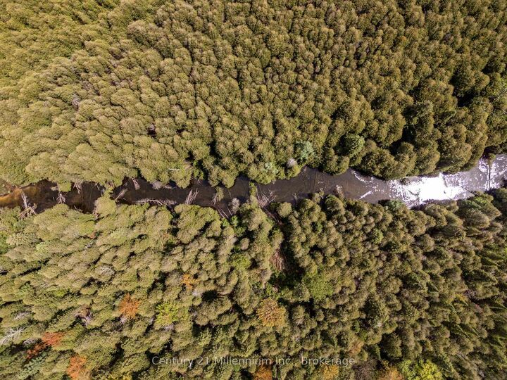 Photo de la propriété: 525197 Artemesia Euphrasia Townline ON N0C 1H0