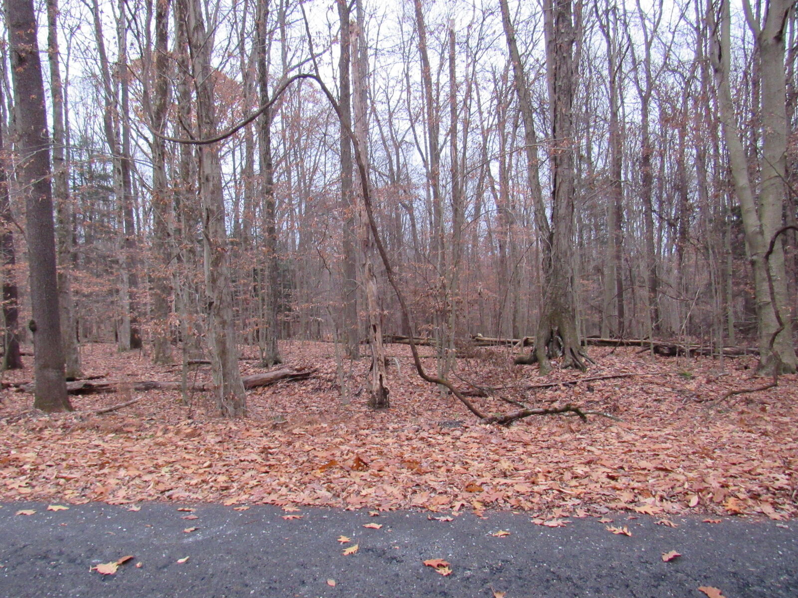 Property Photo: 25 Biscayne Rd PA 15801