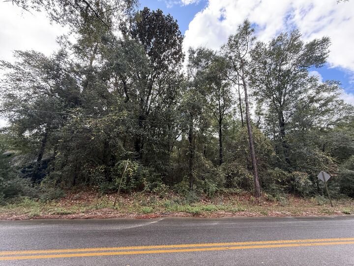 Property Photo:  Lot 4 German Club Road  FL 32433 