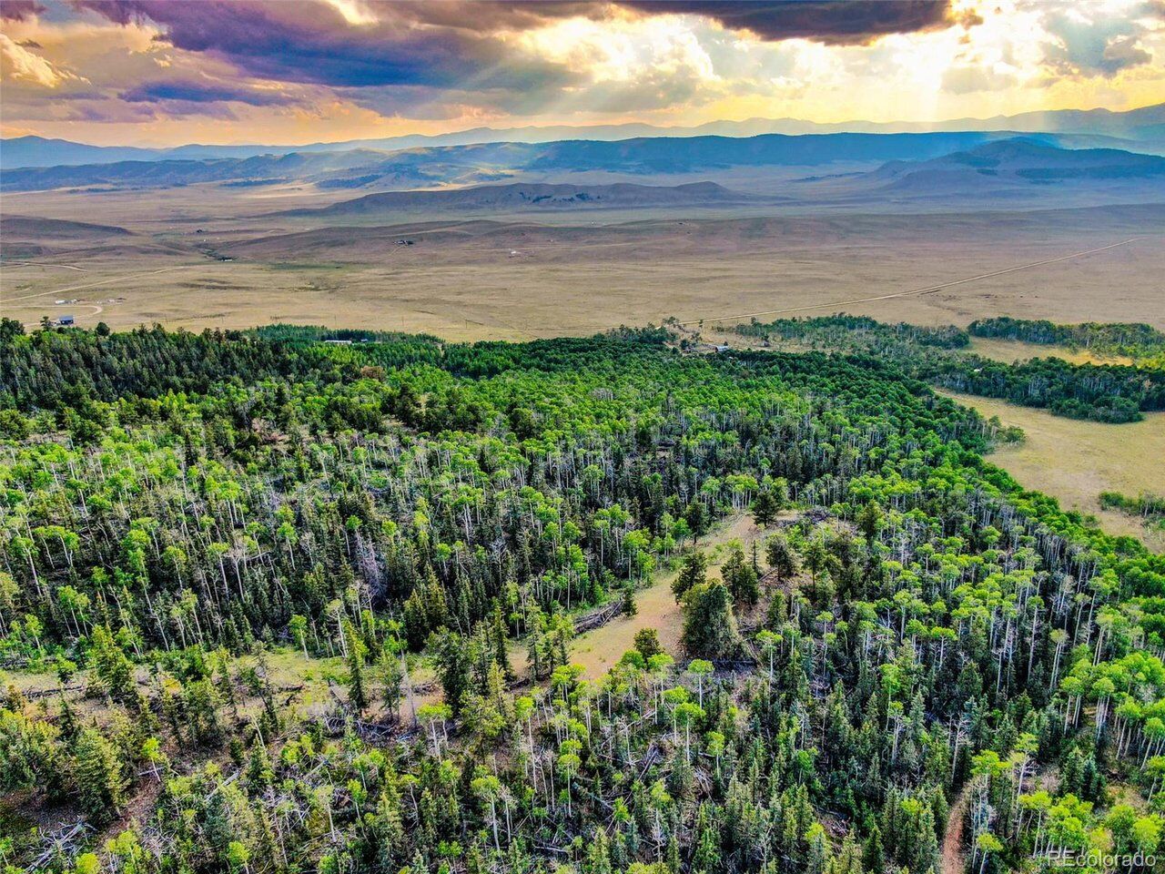 Property Photo:  0 Night Hawk Cir  CO 80432 