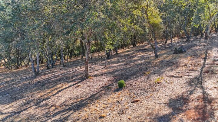 Property Photo: 6084 Western Sierra Way CA 95762