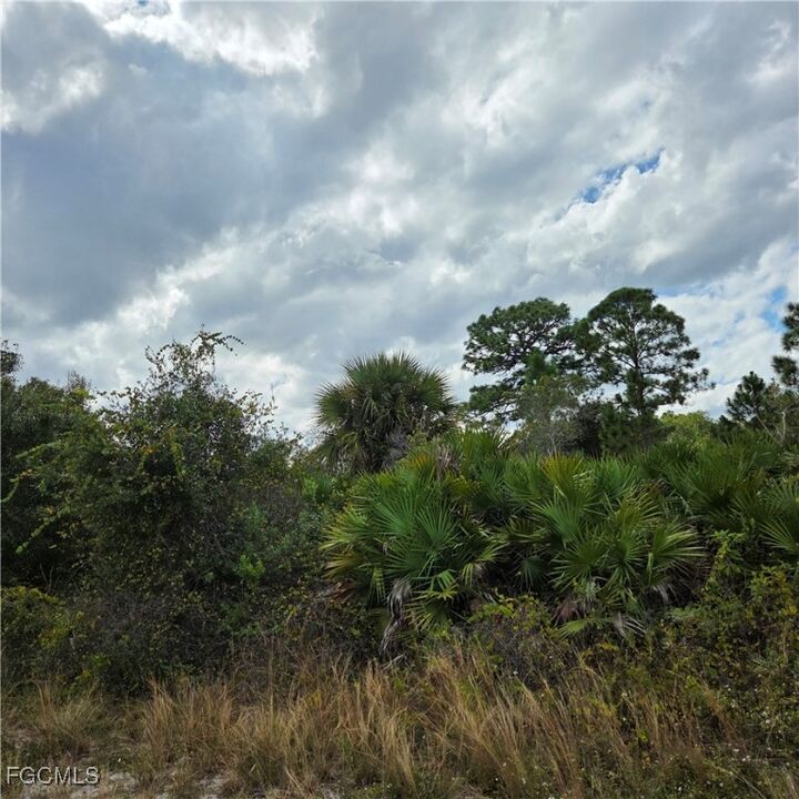 Property Photo: 4627 Karen Avenue N FL 33971