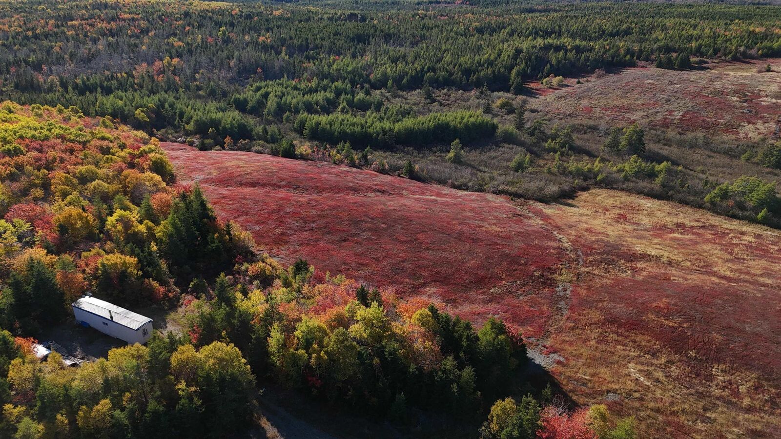 Property Photo:  Bengal-Oceanview Road  NS B1K 2J5 