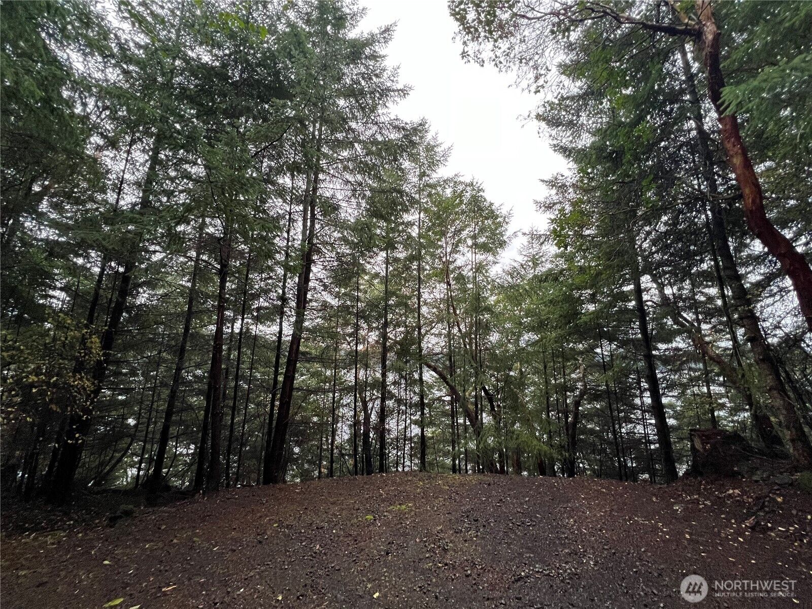 Property Photo: 649 Shore Road WA 98245