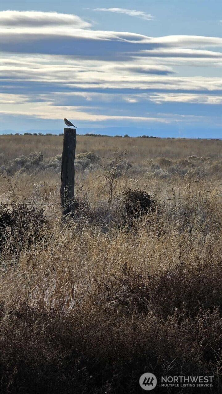 Property Photo:  0  Nna Rd 16 NE  WA 98860 