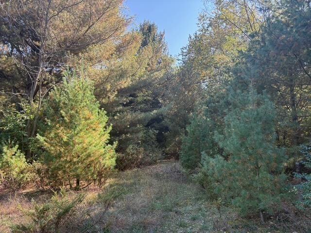 Property Photo:  D S Glen Lake Road  MI 49636 