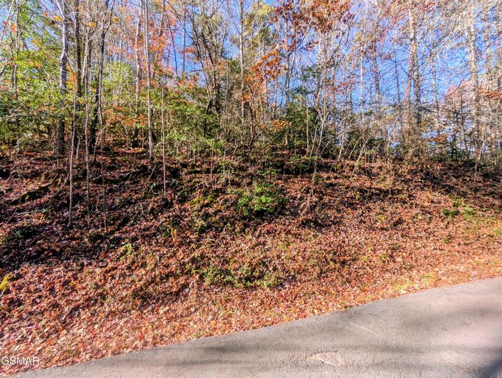 Property Photo: Lot 1905 Beach Front Drive TN 37876