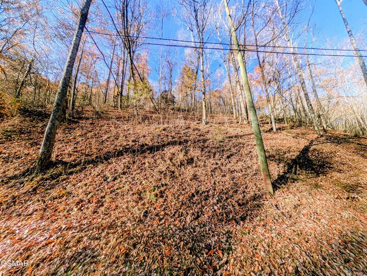 Property Photo:  Lot 1272 Raymond Hollow Road  TN 37876 