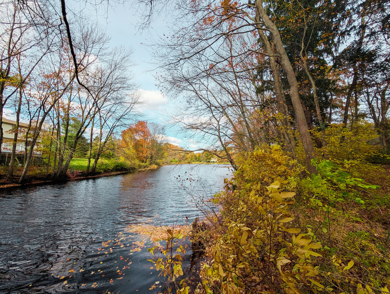 Property Photo:  205 Nichols Avenue  CT 06484 