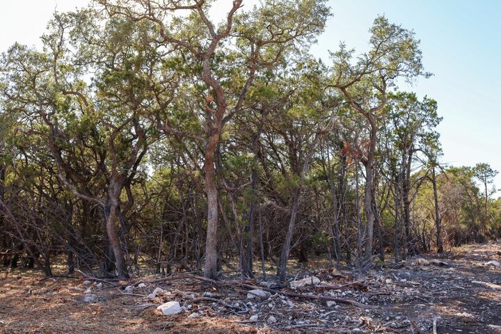 Property Photo: 3101 - 1 Longhorn Trail TX 78676