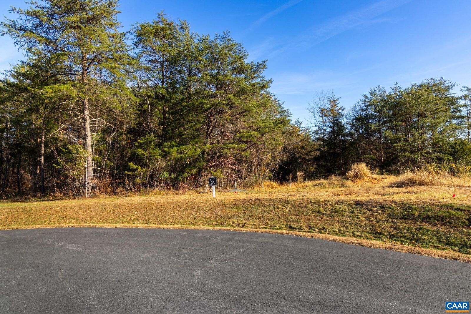 Property Photo: Lot 12 Bartholomew Pl VA 22973