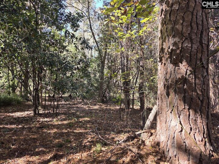 Property Photo: 17 Five Bridges SC 29020