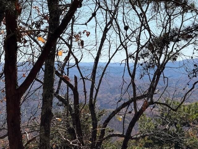 Property Photo:  0 John Call Rd  GA 30175 