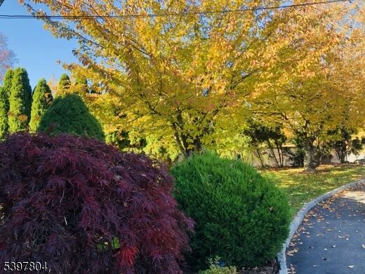 Property Photo:  159 Ball Ave  NJ 07054 