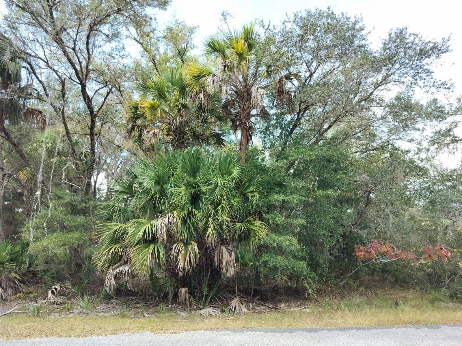 Property Photo:  9999 N Snowball Point  FL 34428 