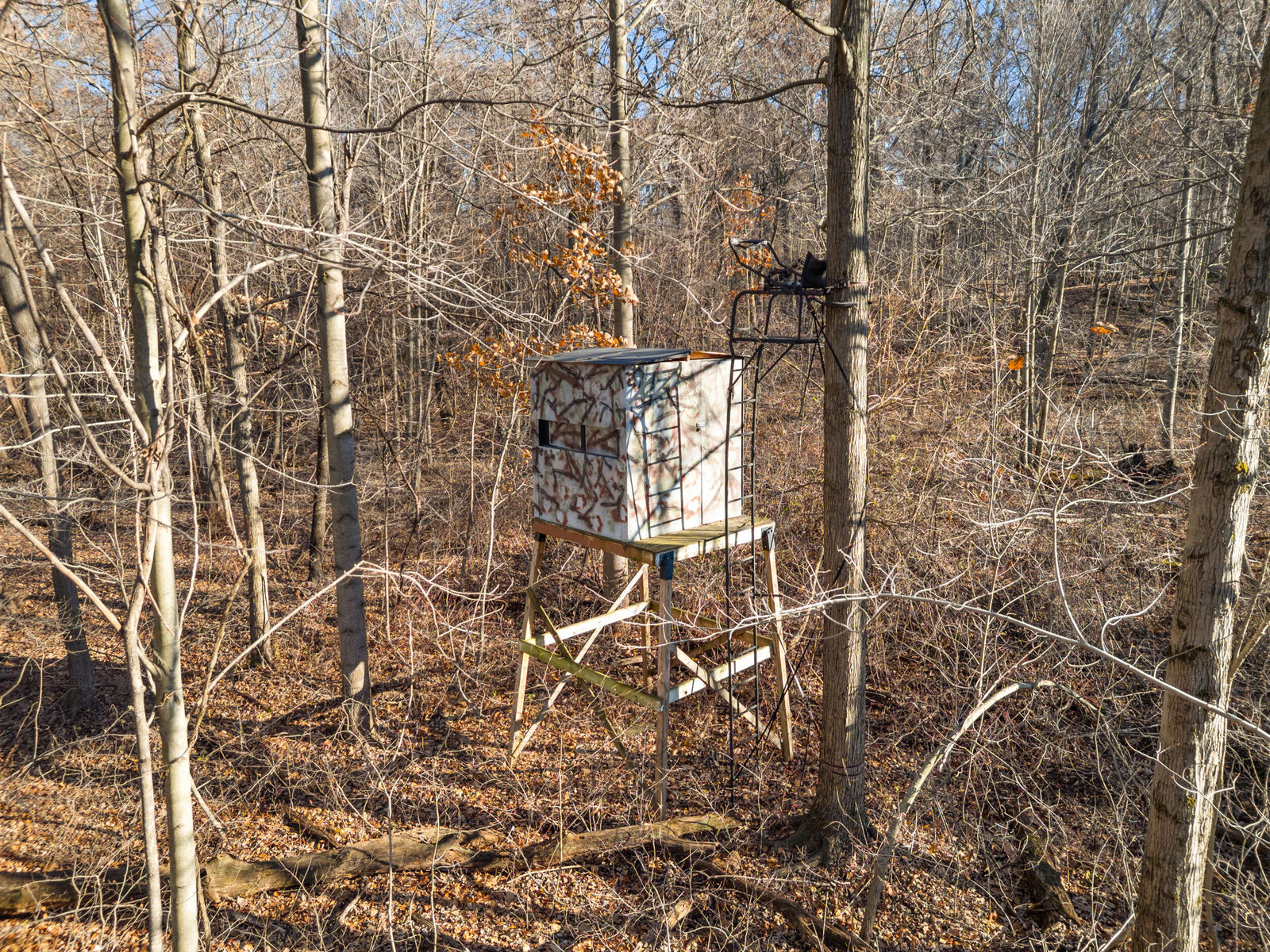 Property Photo:  7341 Skuse Road  MI 49266 