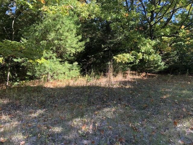 Property Photo: Tbd W Etherington MI 49701