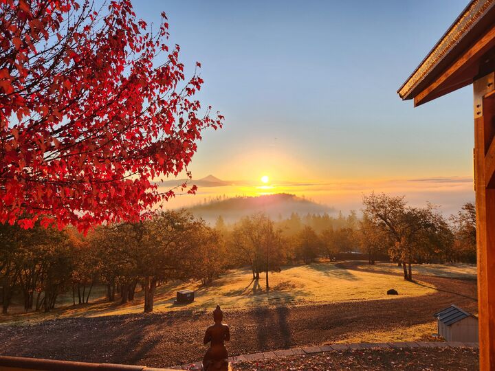 Property Photo: 198 Flamingo Drive OR 97524