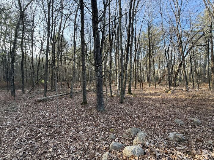 Property Photo:  Chatey Road  CT 06278 