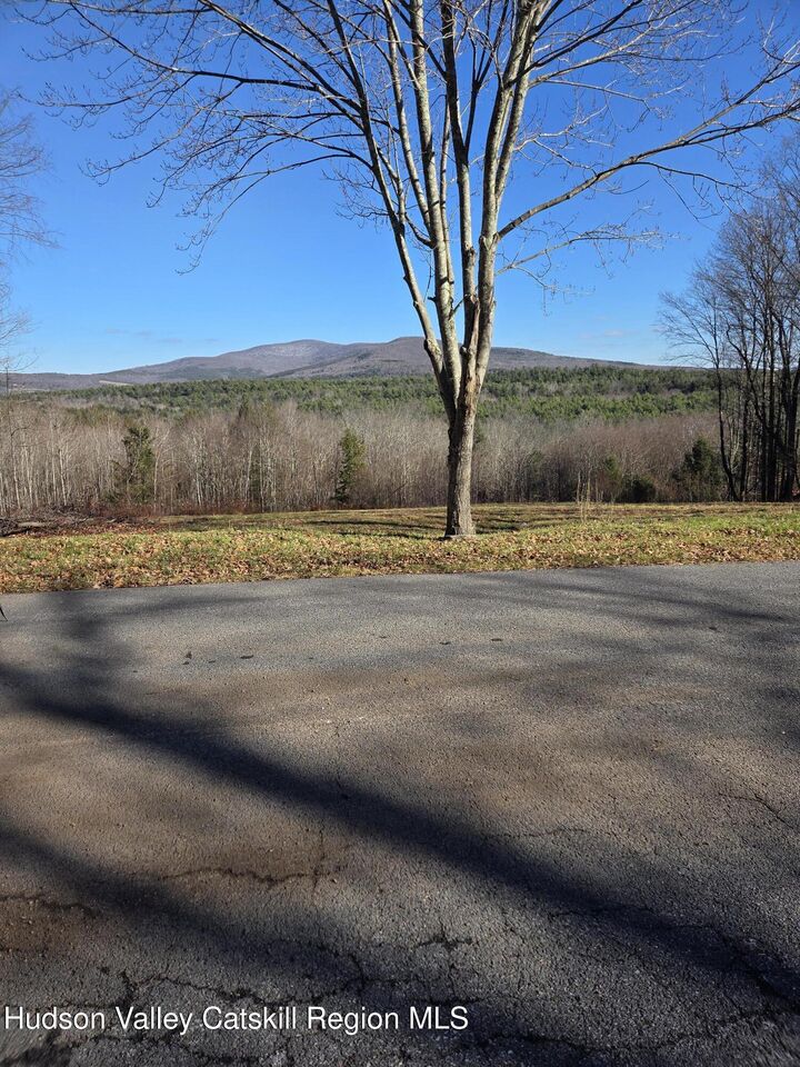 Property Photo:  0 Blueberry  NY 12468 