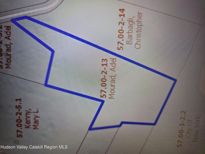 Property Photo: 0 Blueberry NY 12468