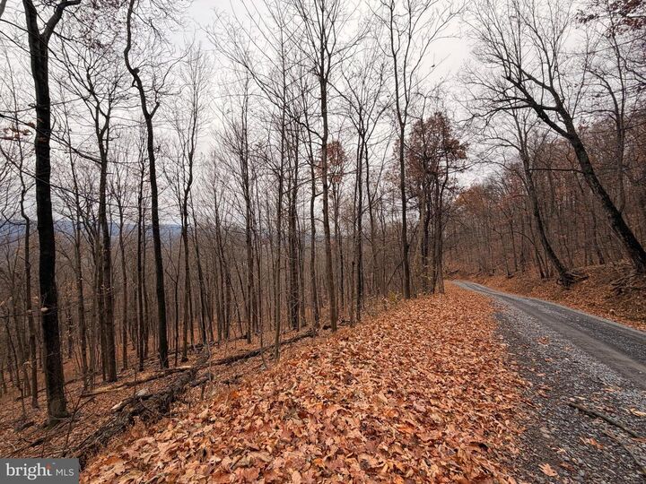 Property Photo: 6.71 Ac Lot 9 Gobbler Lane WV 25427