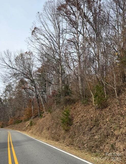 Property Photo:  00 Yancey Road  NC 28752 