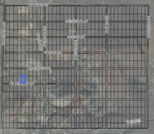 Property Photo:  066020017 Bitterroot Street  NV 89801 