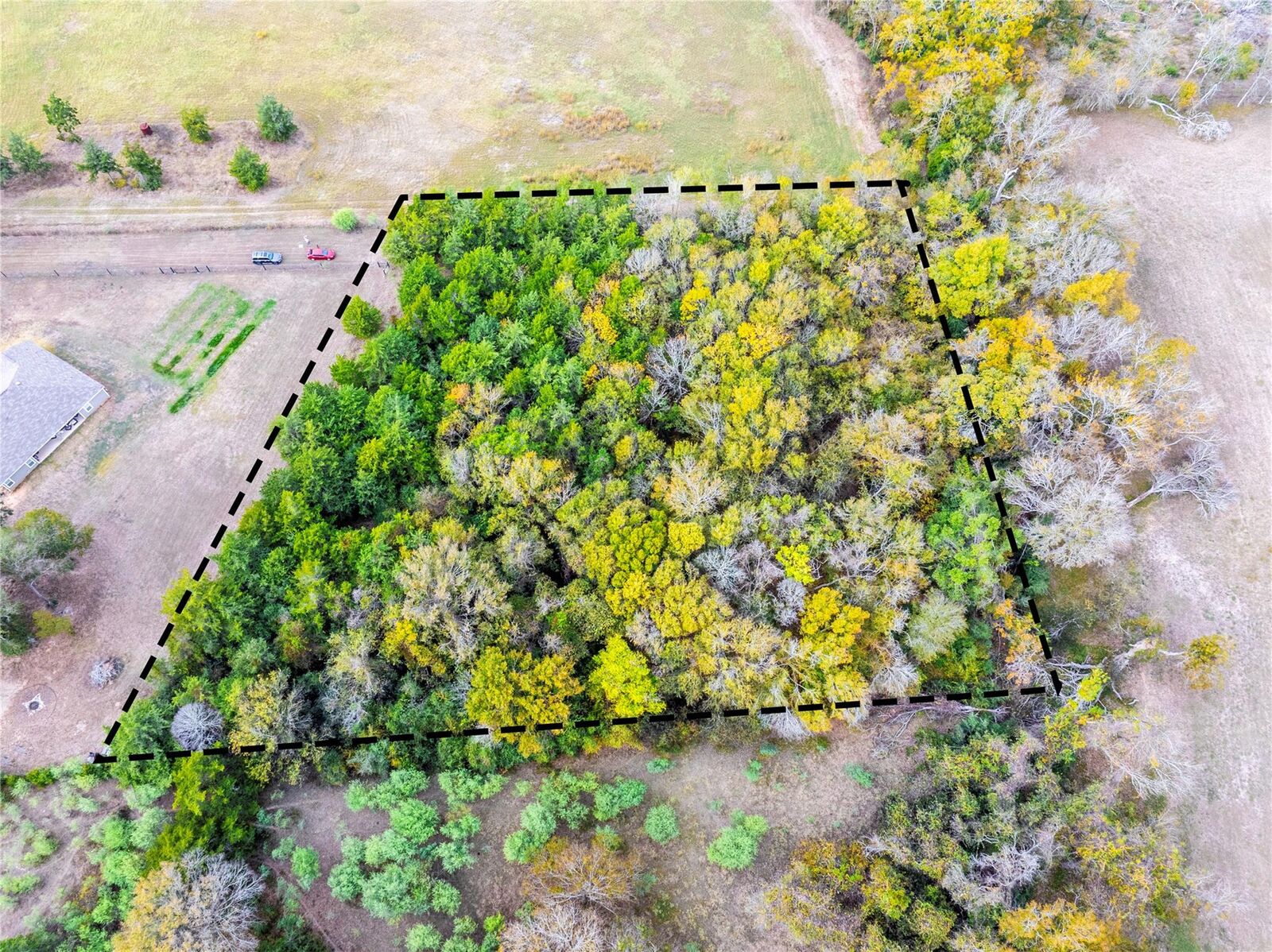 Property Photo:  Tbd Armstrong School Road  TX 77426 