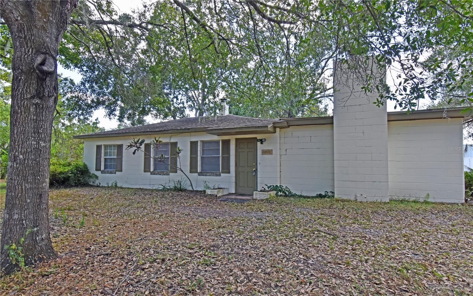Property Photo: 12422 N Howard Avenue FL 33612