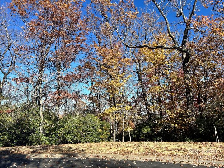 Property Photo:  1114 Mills River Way  NC 28742 