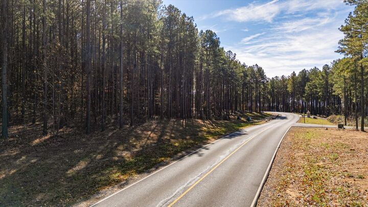 Property Photo:  0 Raulston Falls  TN 37347 