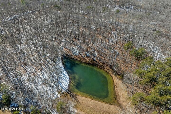 Property Photo:  566 Martin Rd  TN 38555 