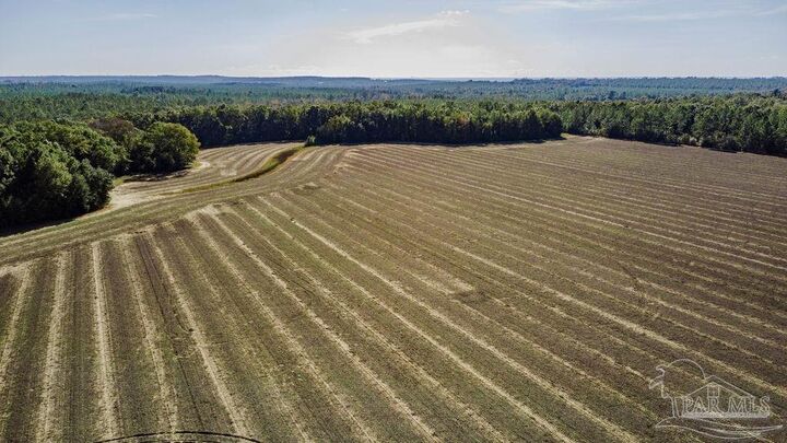 Property Photo: 3A Segrest Rd FL 32571