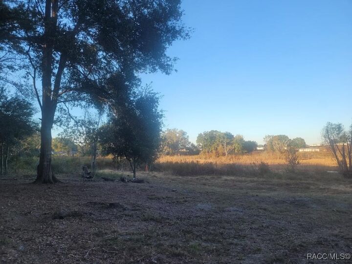 Property Photo: 2514 Eisenhower Street FL 34453