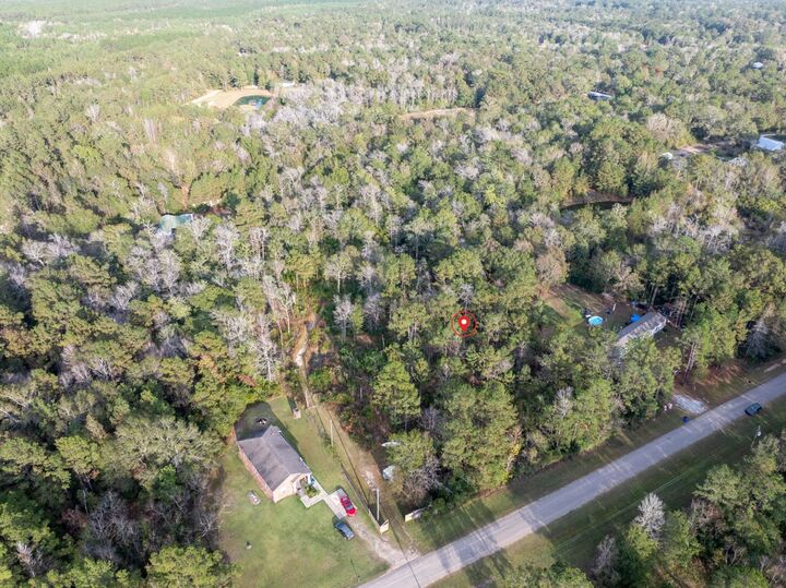 Property Photo:  2720 Big Buck Drive  TX 77625 