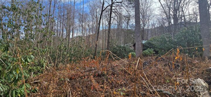 Property Photo: Lot 20 Twinbrook Lane NC 28751