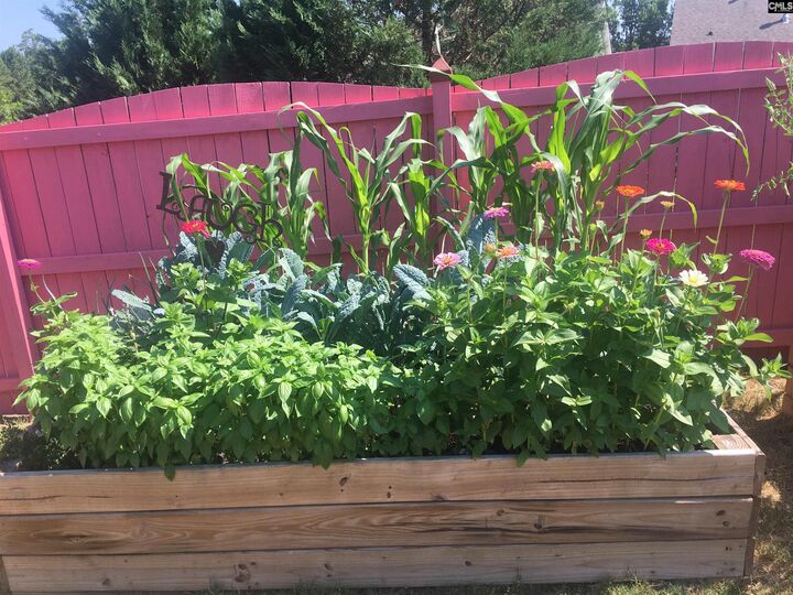 Property Photo: 614 Scarlet Baby SC 29016