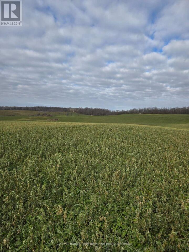 Brant Elderslie Townline  Arran-Elderslie ON N0G 1L0 photo