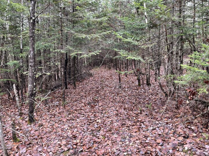 Property Photo: 194 E Gulch Road ME 04986