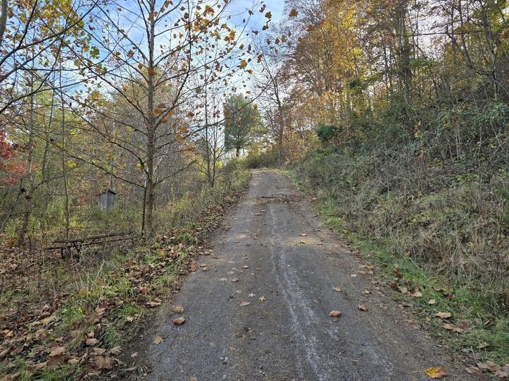 Property Photo: 95 Zane Lane KY 41141