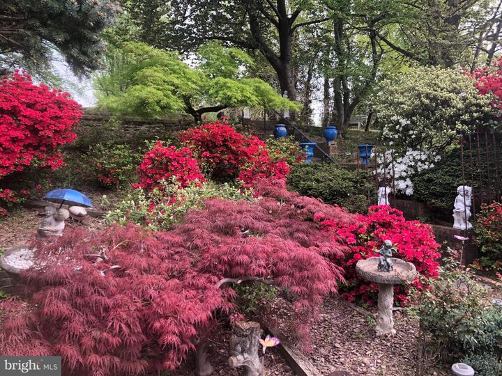 Property Photo:  6144 Chesterbrook Road  VA 22101 