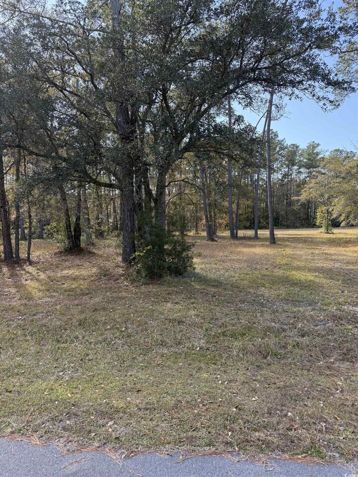 Property Photo:  867 Denali Dr.  SC 29526 