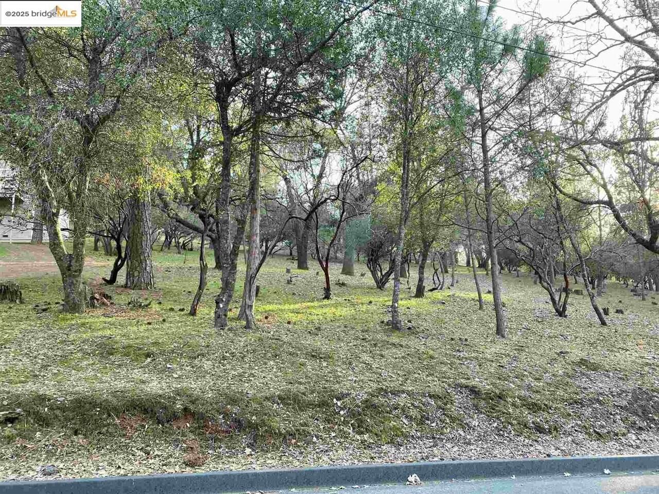 Property Photo: 13177 Jackson Mill Drive CA 95321