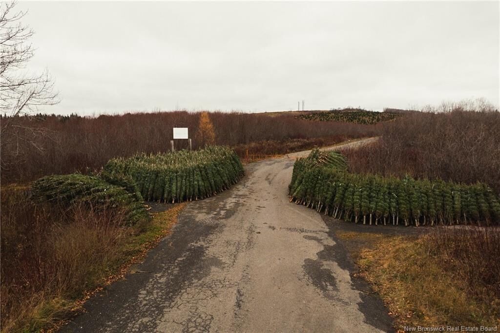 Property Photo:  Lot Route 144 Road  NB E7E 1T8 