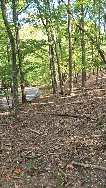 Property Photo:  315 Windflower Drive  GA 30534 