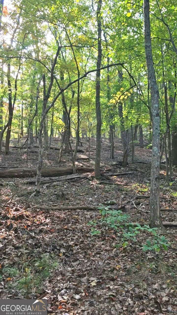 Property Photo:  315 Windflower Drive  GA 30534 