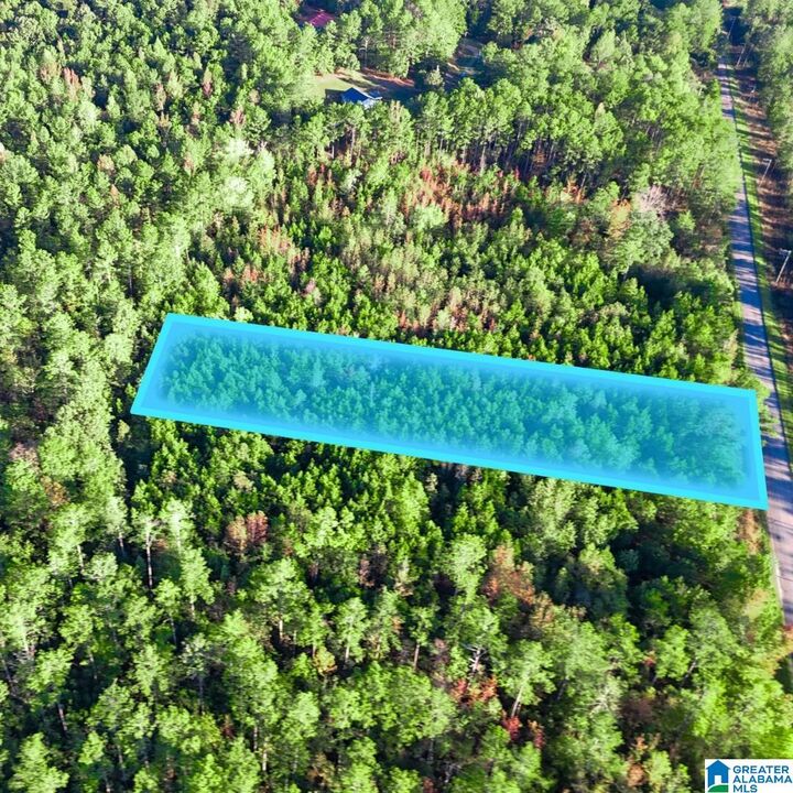Property Photo:  Tract 2B County Road 329 Tract 2B  AL 36278 